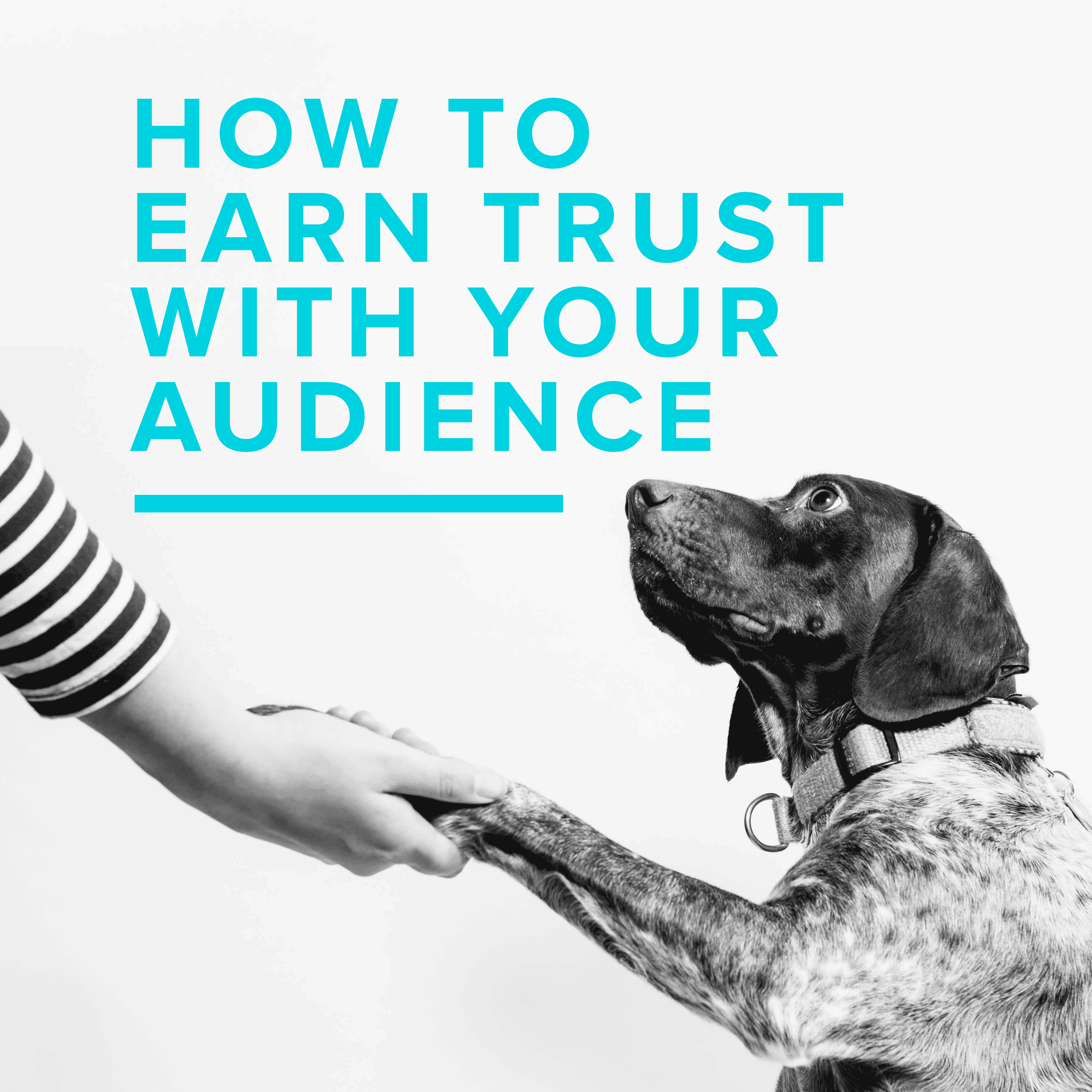 The REX Agency | How to Earn Trust with Your Audience - Cover Image